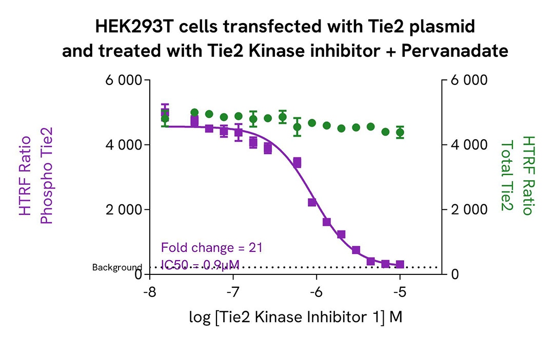  assay validation inhibitor HEK293T TIE2 phospho-Y992