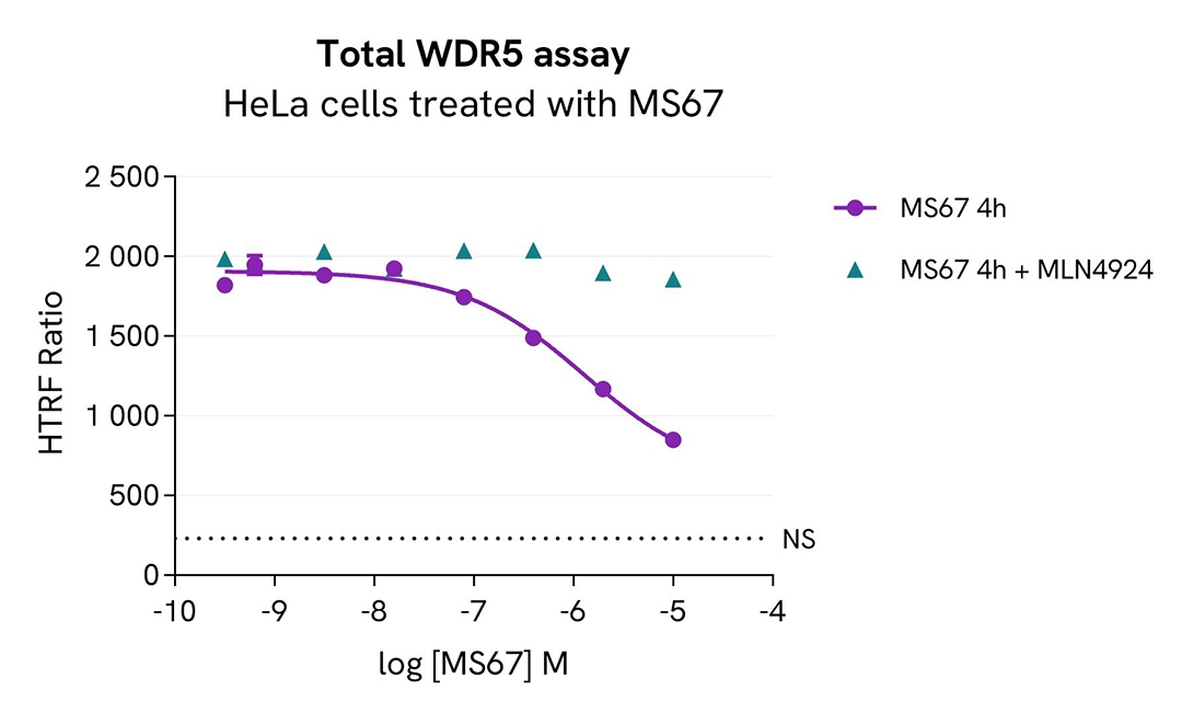 assay validation inhibitor HeLa WDR5 total