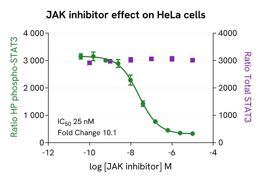 assay validation inhibitor JAK inhibitor HPSTAT3 Phospho-STAT3Y705