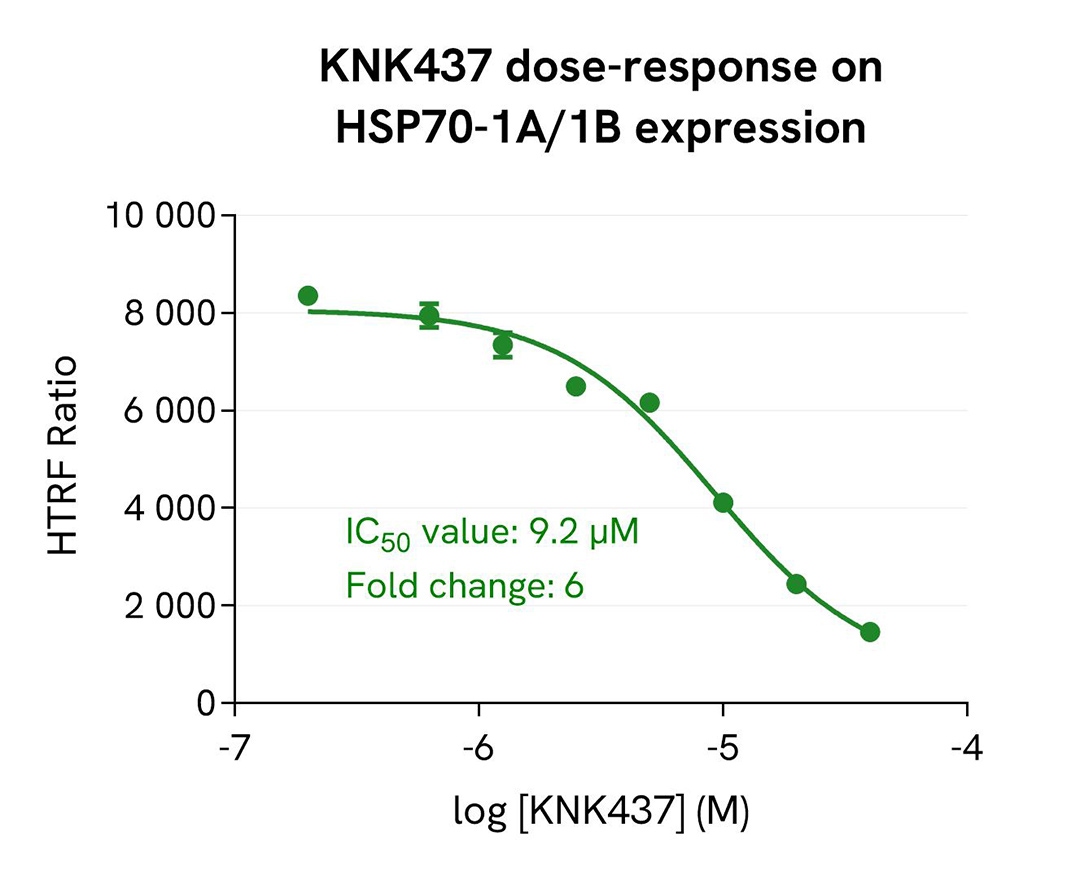 assay validation inhibitor KNK437 HSP70 1A/1B total