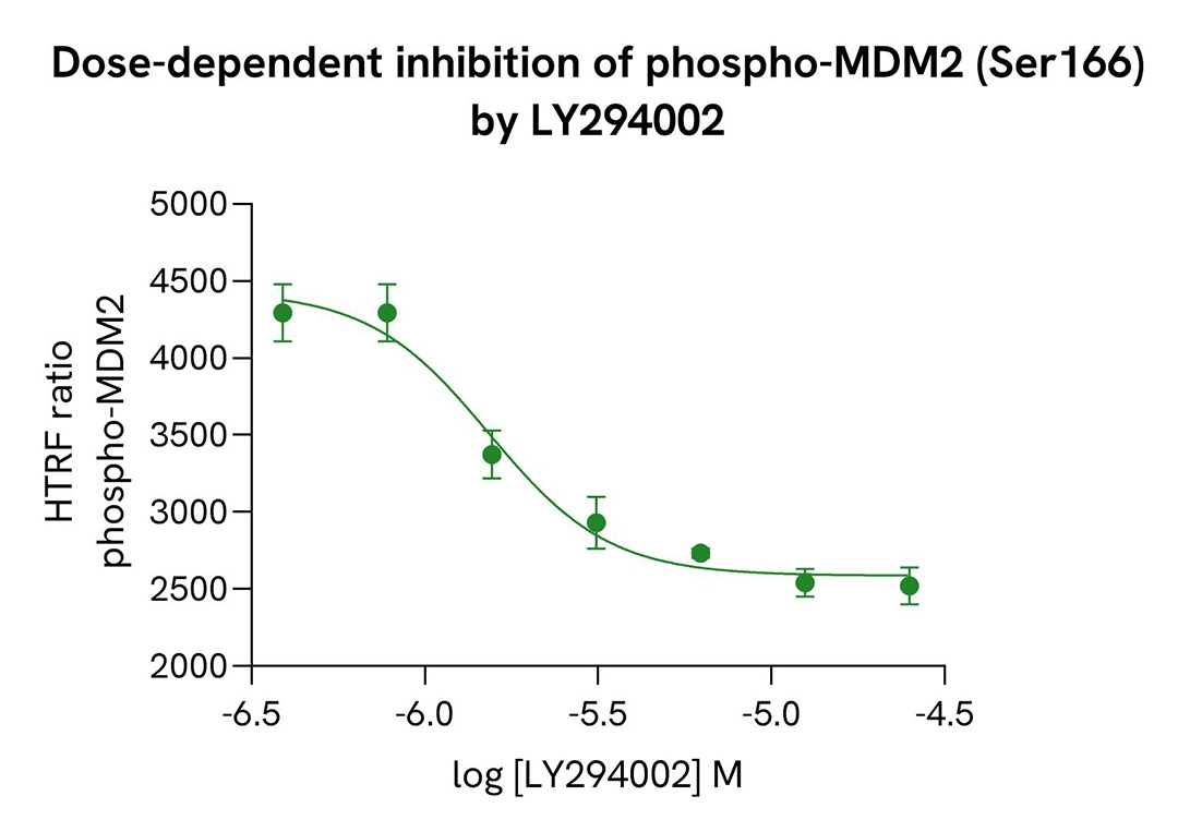 Dose-dependent inhibition of MDM2 phospho-Ser166  by LY294002