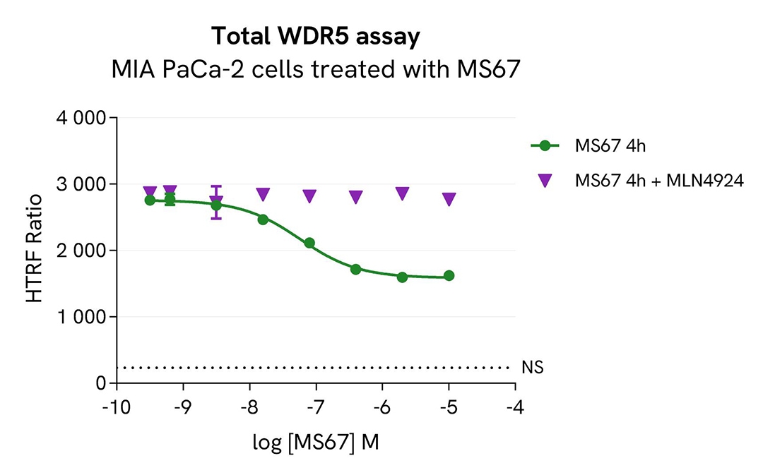 assay validation inhibitor MIA PaCa2 WDR5 total