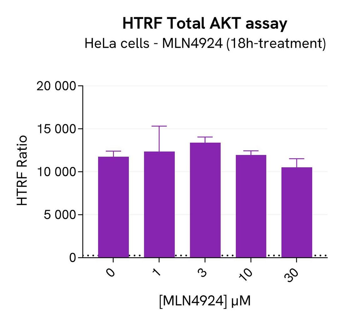 assay validation inhibitor MLN4924 Total AKT SKP2 total