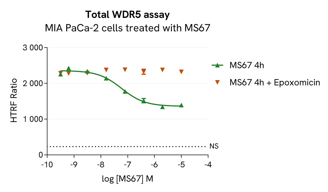 assay validation inhibitor MS67 WDR5 total