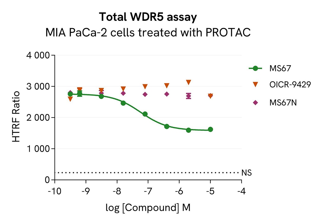 assay validation inhibitor MS67 WDR5 total