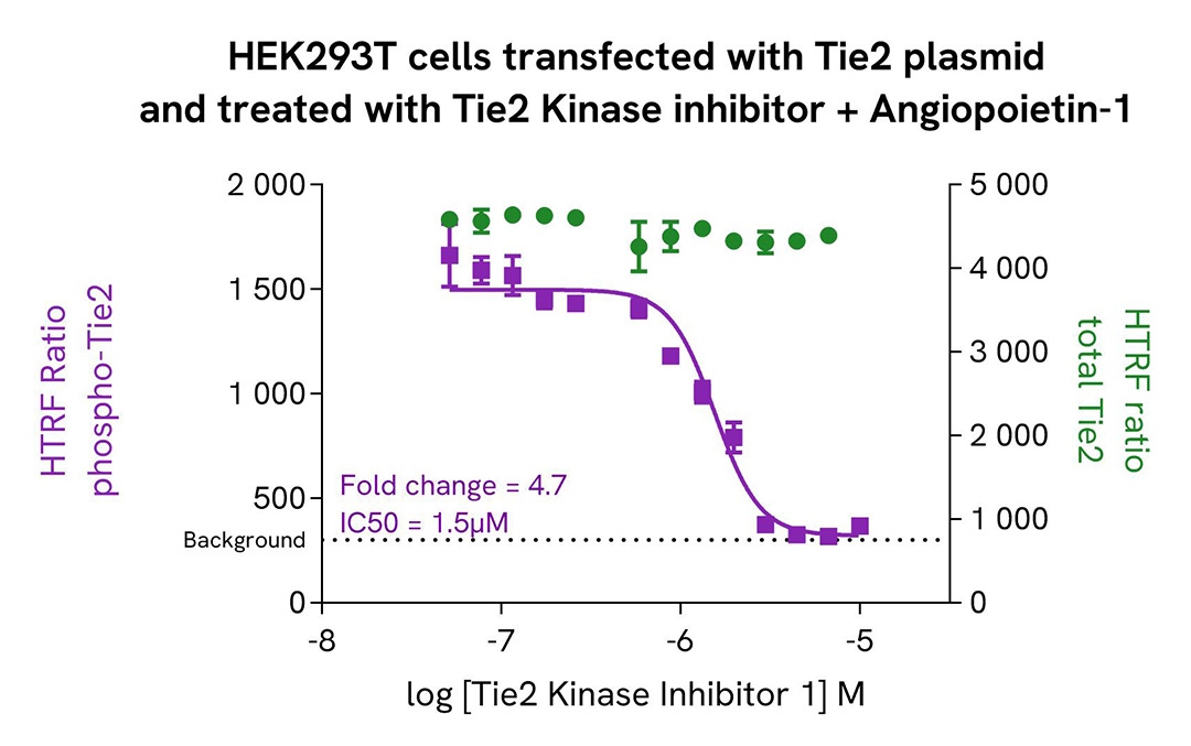 assay validation inhibitor TIE2 total
