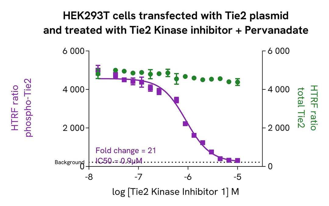 assay validation inhibitor TIE2 total