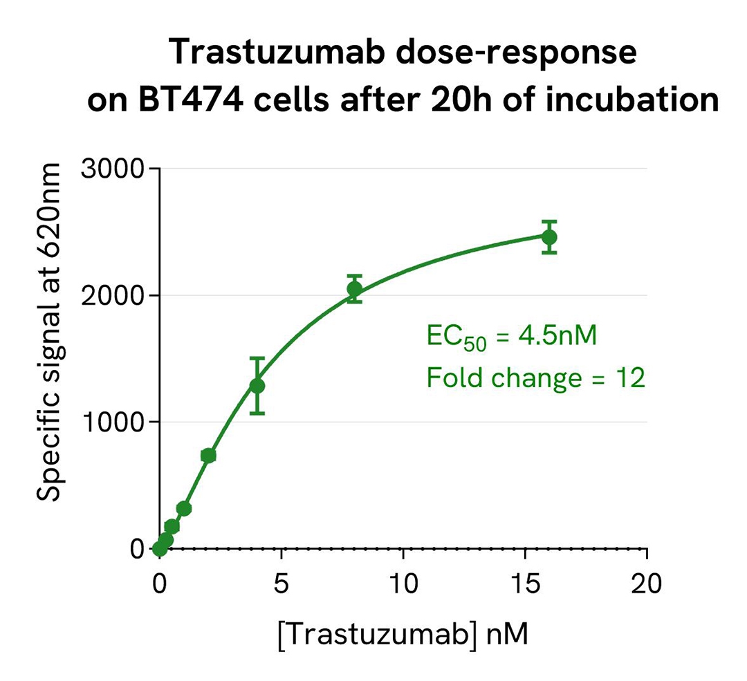 pHSense-based monitoring of anti-HER2 internalizing antibody