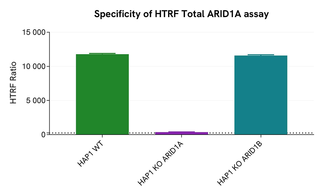 assay validation specificity ARID1A total