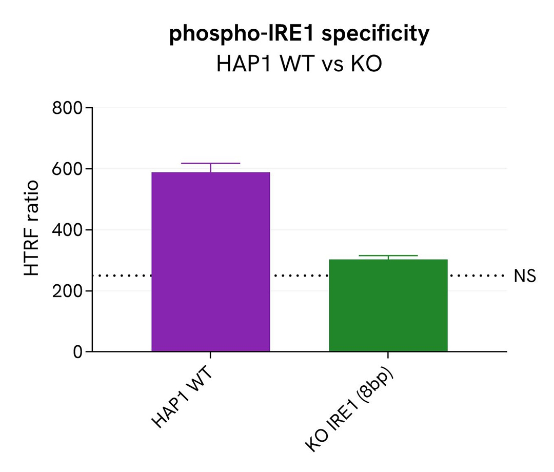 assay validation specificity IRE1 Phospho-S724
