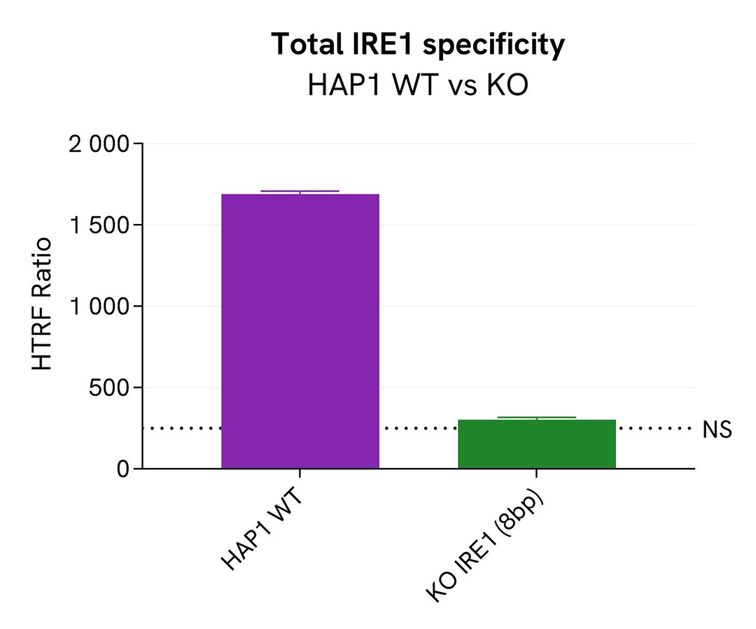 assay validation specificity IRE1 total