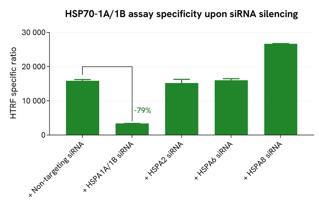 assay validation specificity siRNA HSP70 1A/1B total