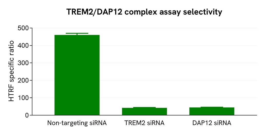 Validation of the specificity of TREM2/DAP12 Complex Assay using Accell siRNA