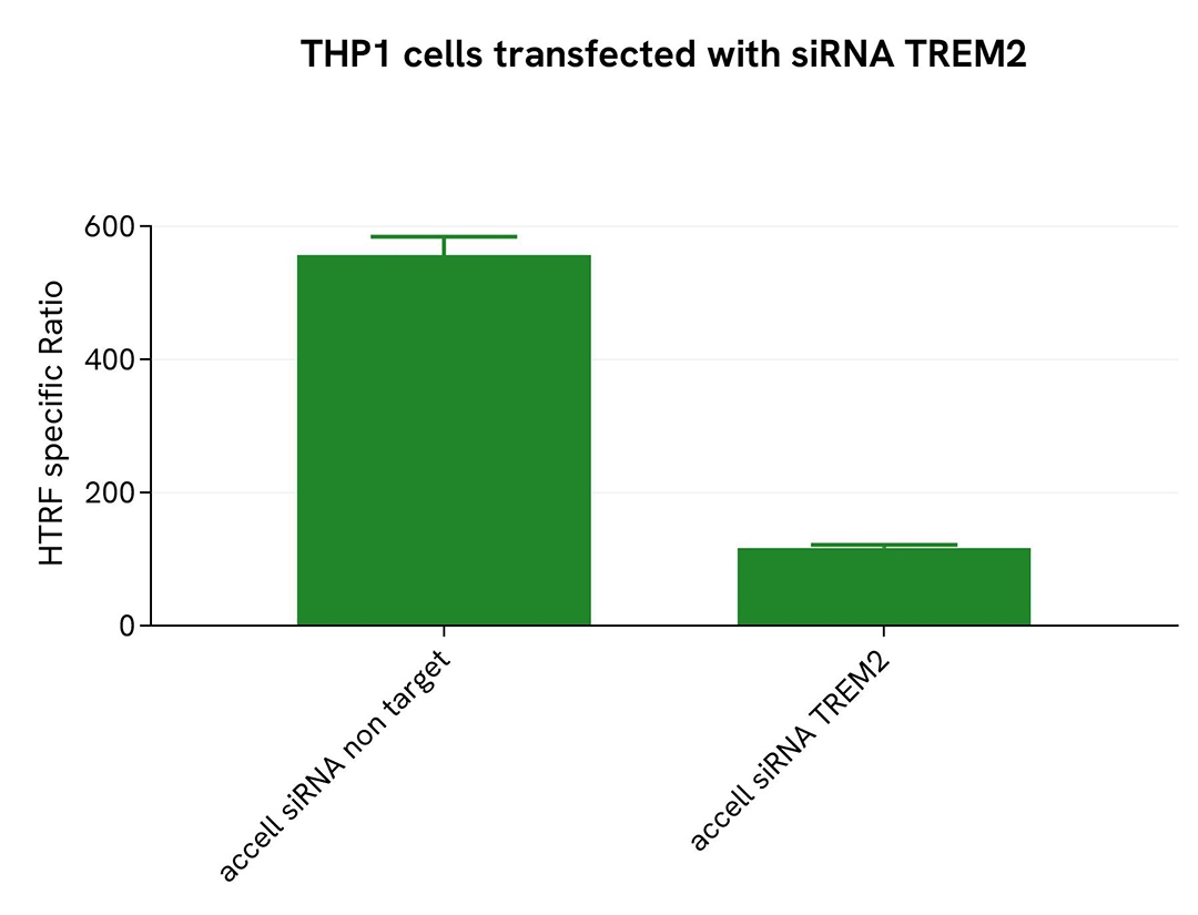 assay validation specificity TREM2 Full Length