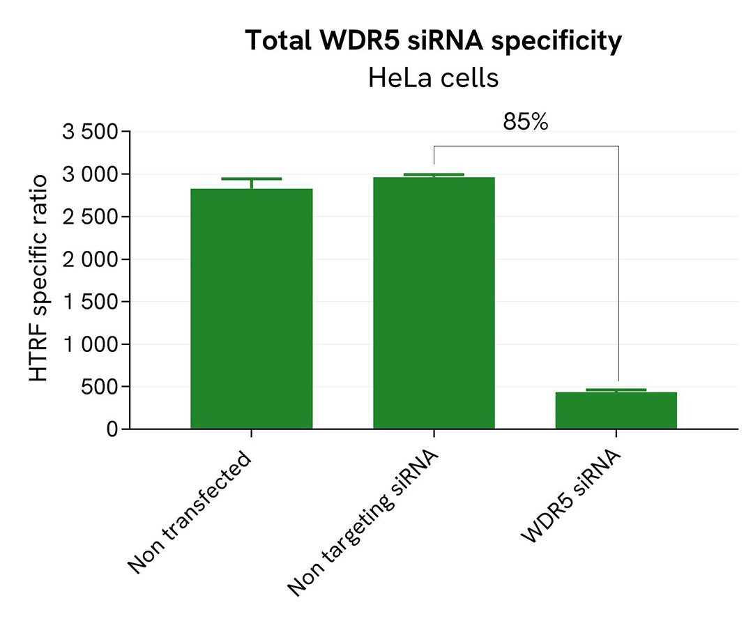 assay validation specificity WDR5 total
