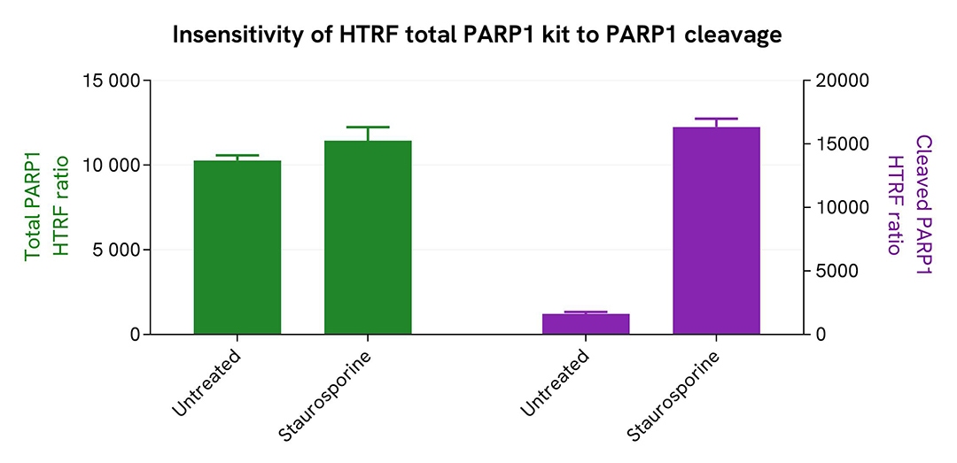 assay validation treatment time course PARP1