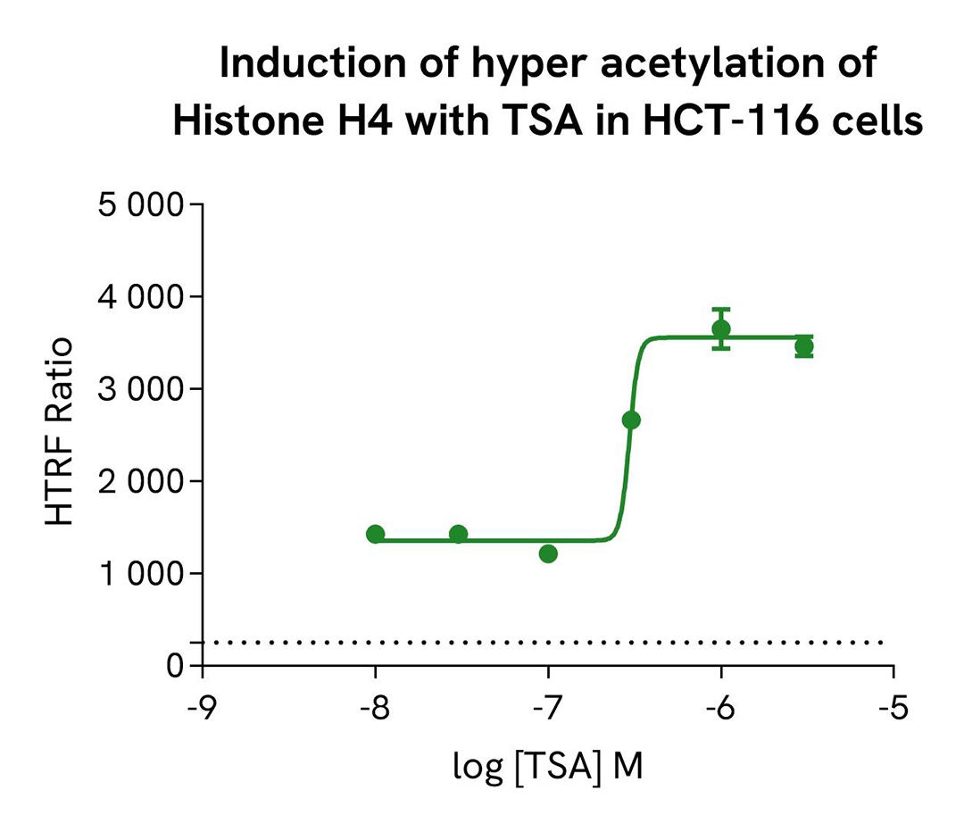 assay validation TSA HCT 116 Pan Acetyl H4