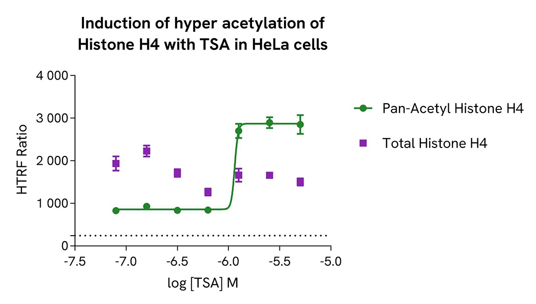 assay validation TSA HeLa Pan Acetyl H4