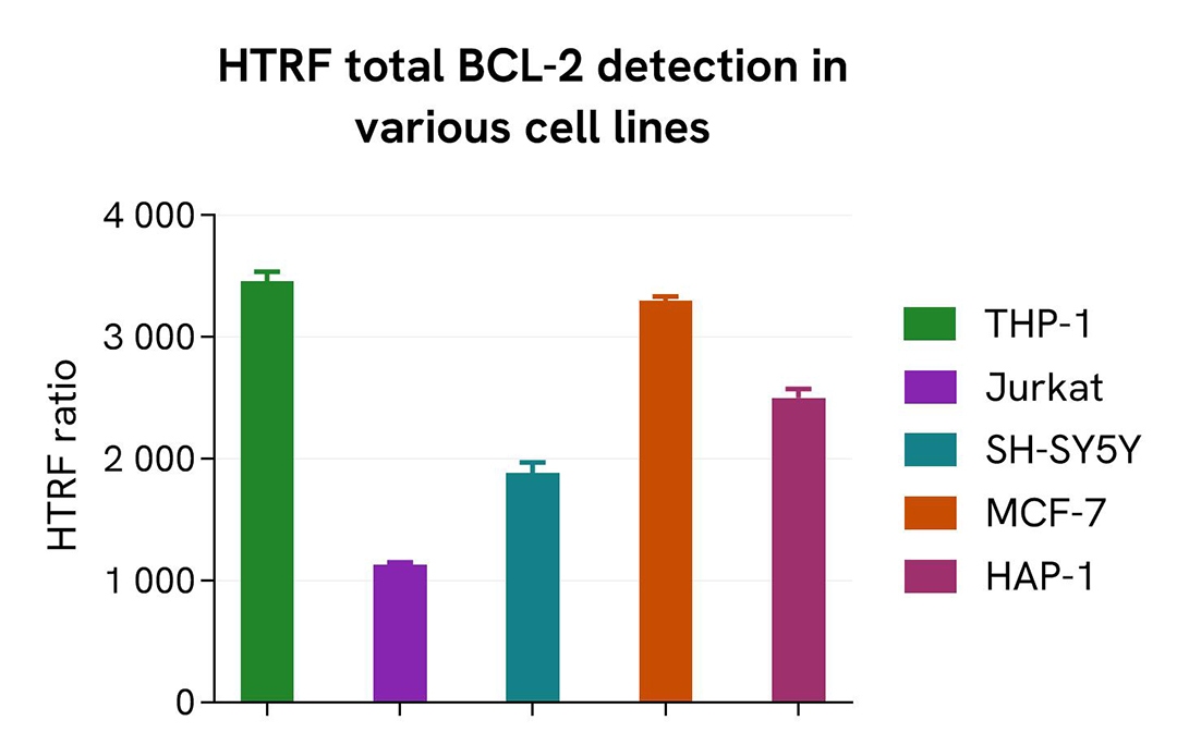 Assessment of total BCL-2 level in various cell lines