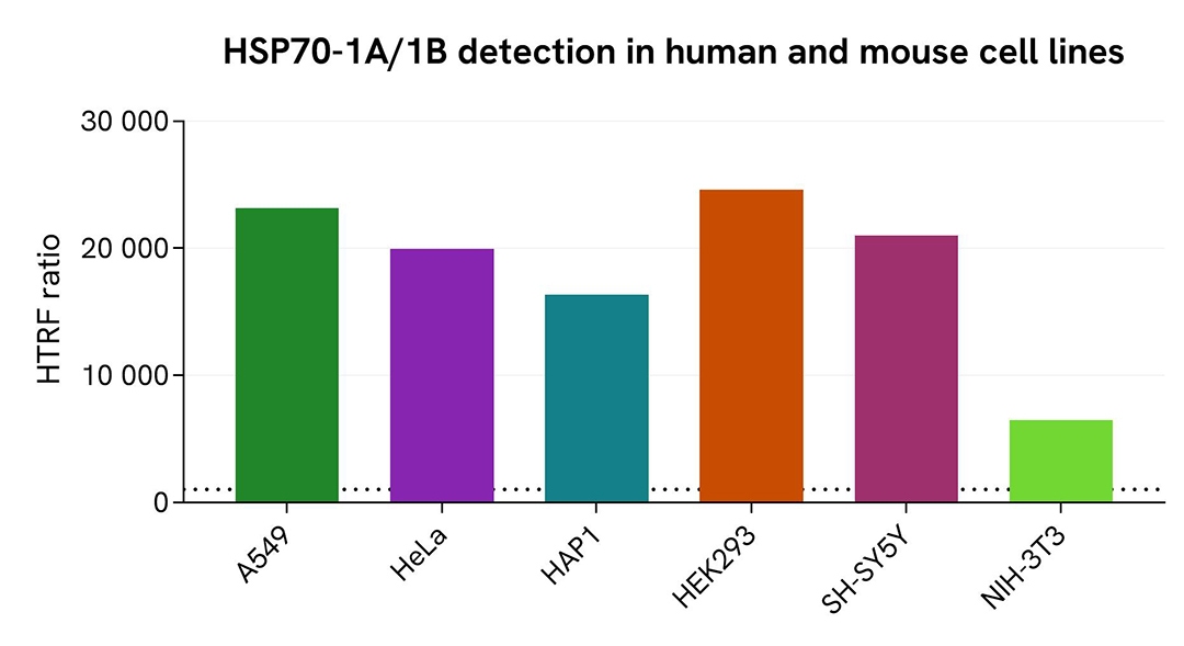 assay validation versatility HSP70 1A/1B total