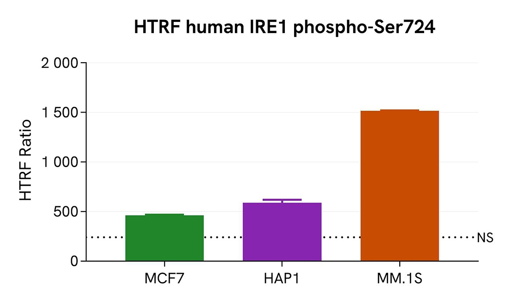 assay validation versatility IRE1 Phospho-S724