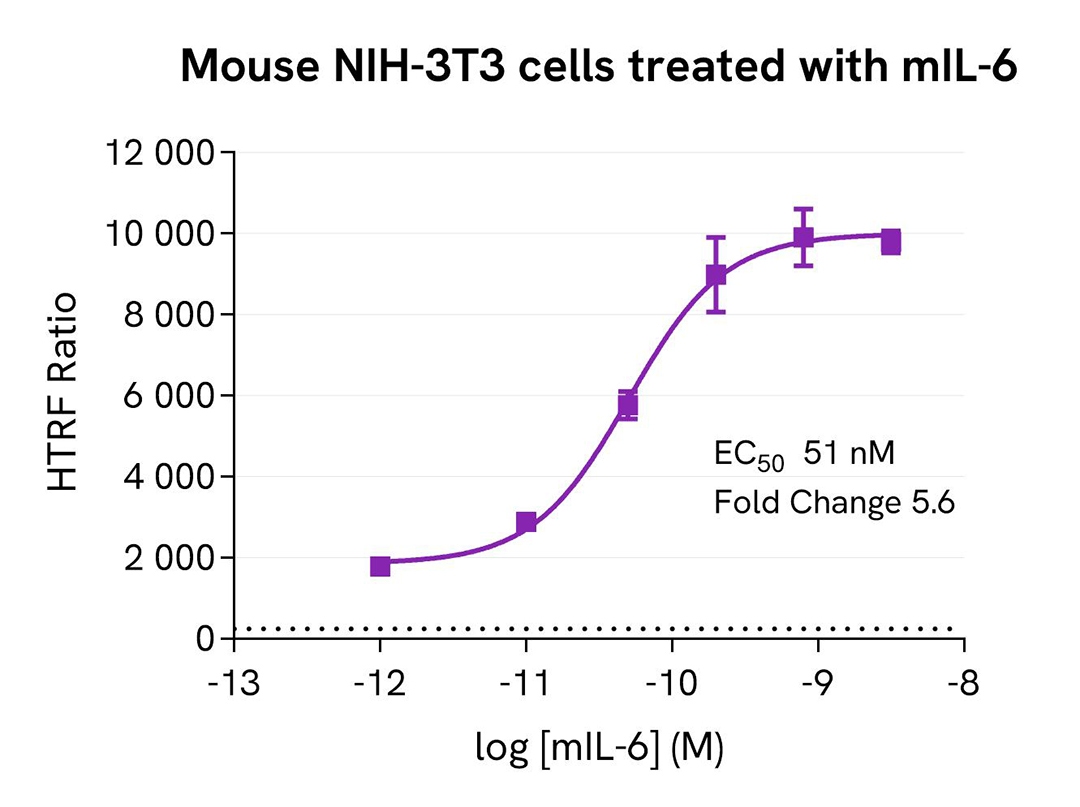 assay validation versatility NIH3T3 HPSTAT3 Phospho-STAT3Y705