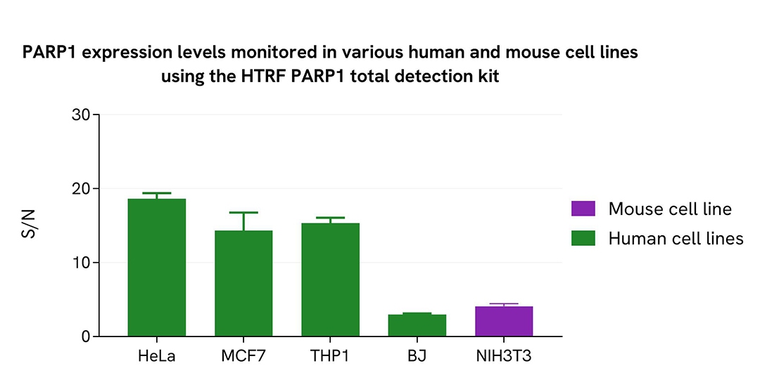 assay validation versatility PARP1