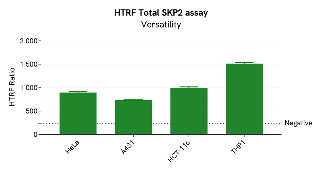 assay validation versatility SKP2 total