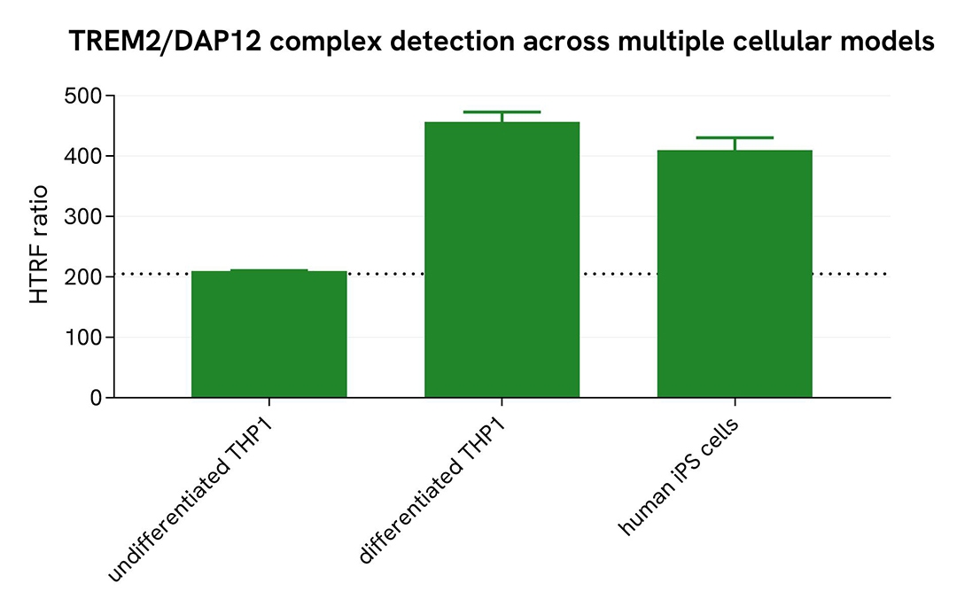 Assessment of TREM2/DAP12 Complex levels in various cell lines