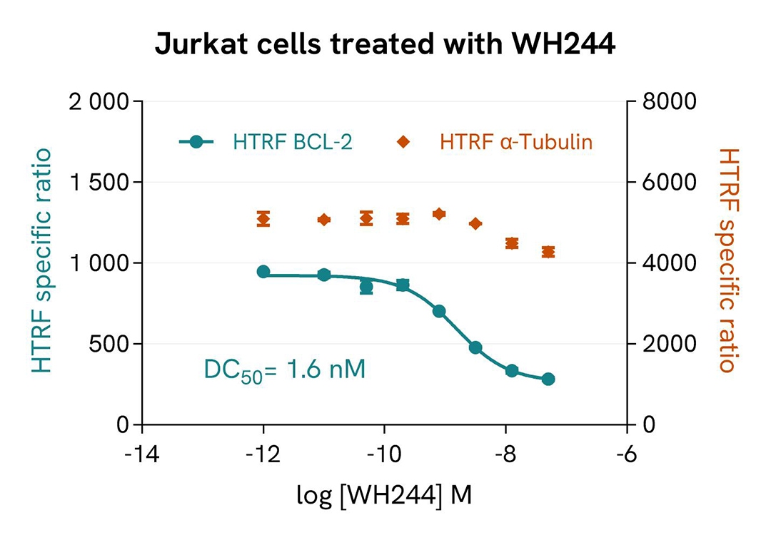 Assay validation - Jurkat Cells Treated with WH244