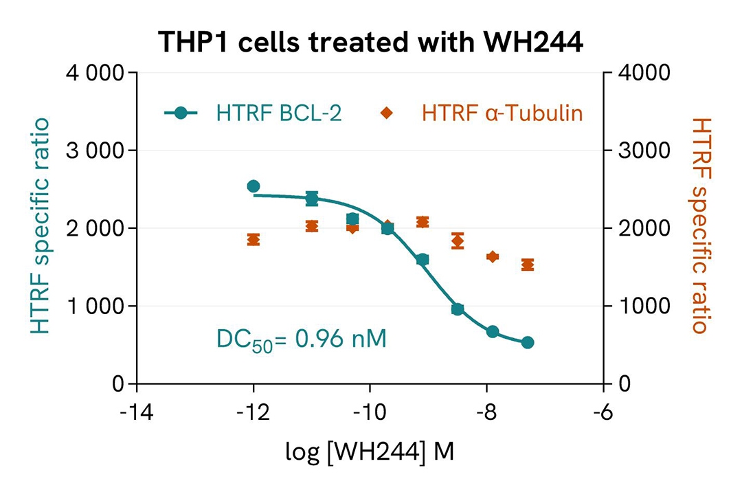 Assay validation - THP1 Cells Treated with WH244