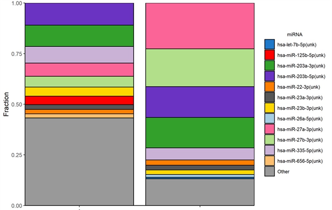 Average top 10 miRNA observed with exosomes from bone marrow and pooled serum samples