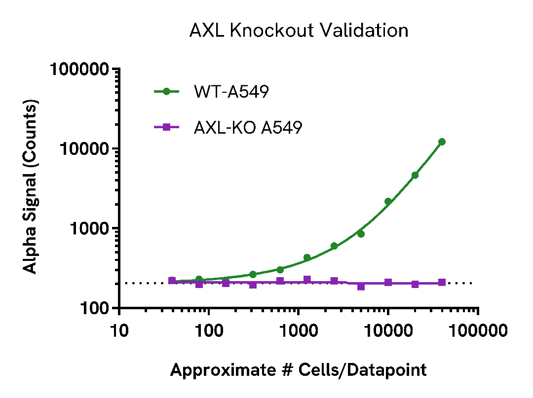 Knockout validation of AXL Phospho (Tyr702) assay