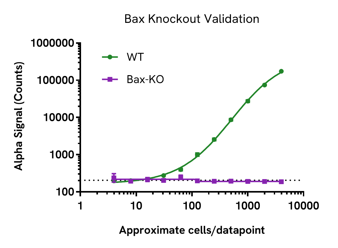 Specificity validation of Bax Total assay