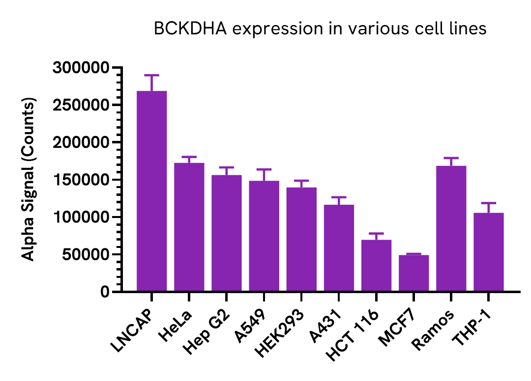 BCKDHA expression in various cell lines