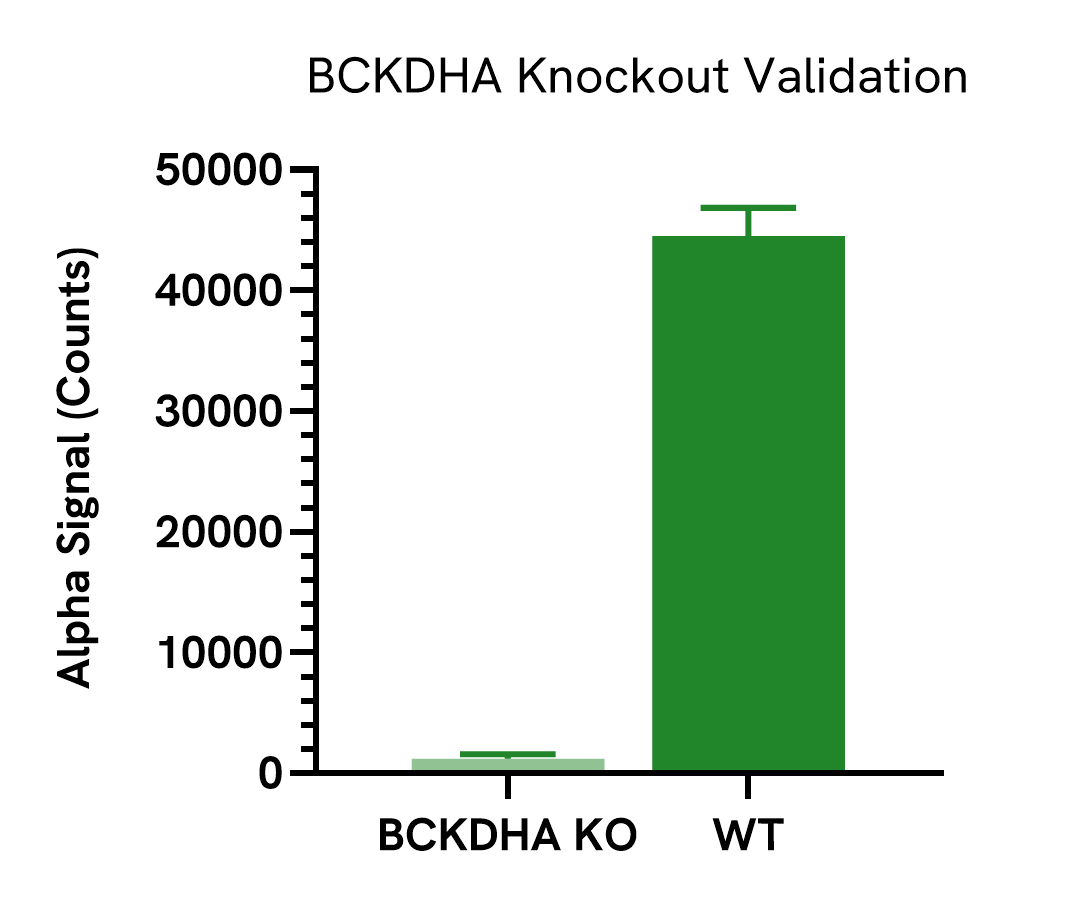 Specificity validation of BCKDHA Phospho assay