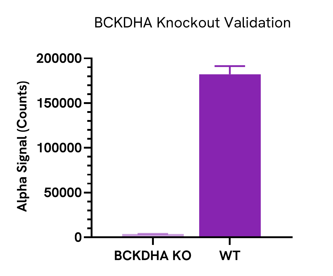 Specificity validation of BCKDHA Total assay
