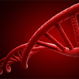 best practices 160x160