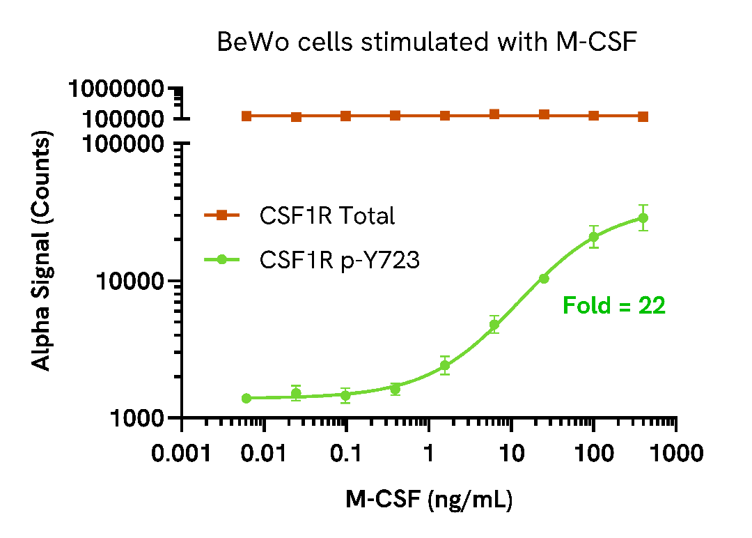 M-CSF induces CSF1R phosphorylation in a dose-dependent manner