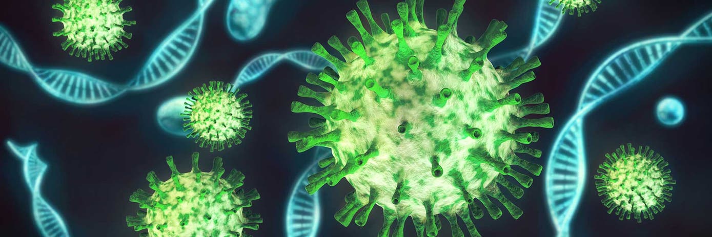 img-bio-plasmid1920x640