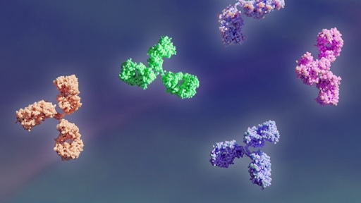 img-biolegend-antibodies-512x288.jpg