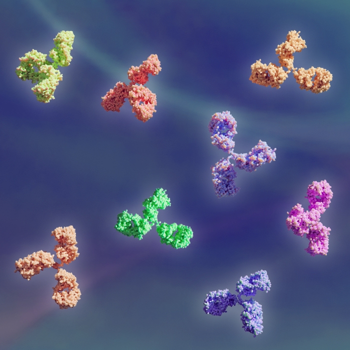 BioLegend Antibodies