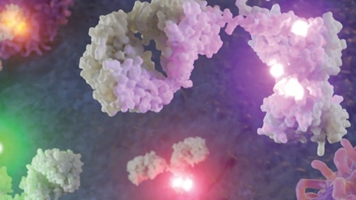img-biolegend-flow-cytometry-512x288.jpg