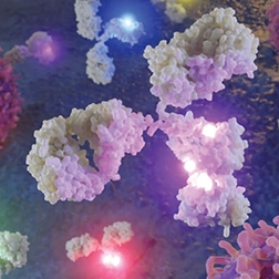 Flow Cytometry Reagents