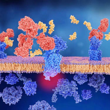 biomolecular discovery