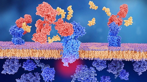 biomolecular discovery thumbnail