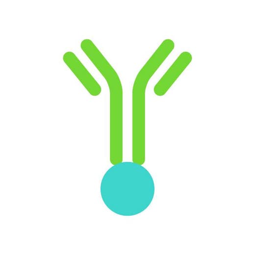 Biotinylated Antibody image