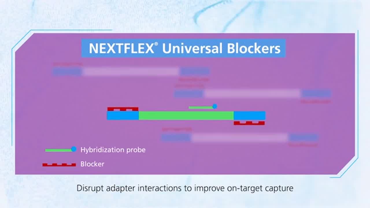 blockers video thumbnail