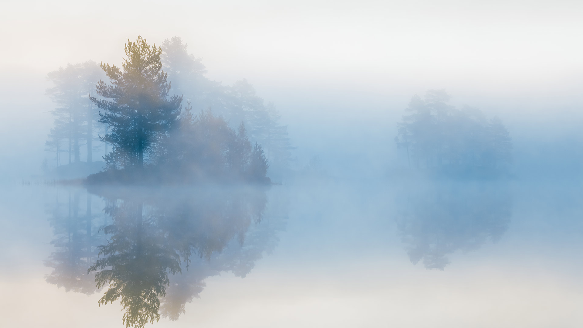 blog adapter synthesis thumbnail