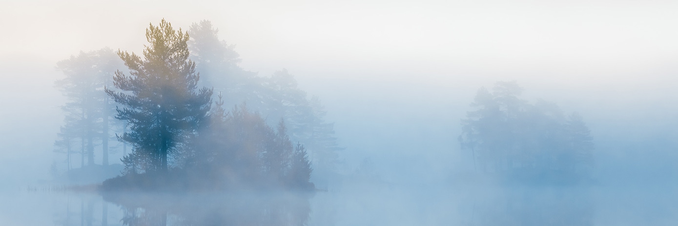 blog adapter synthesis hero